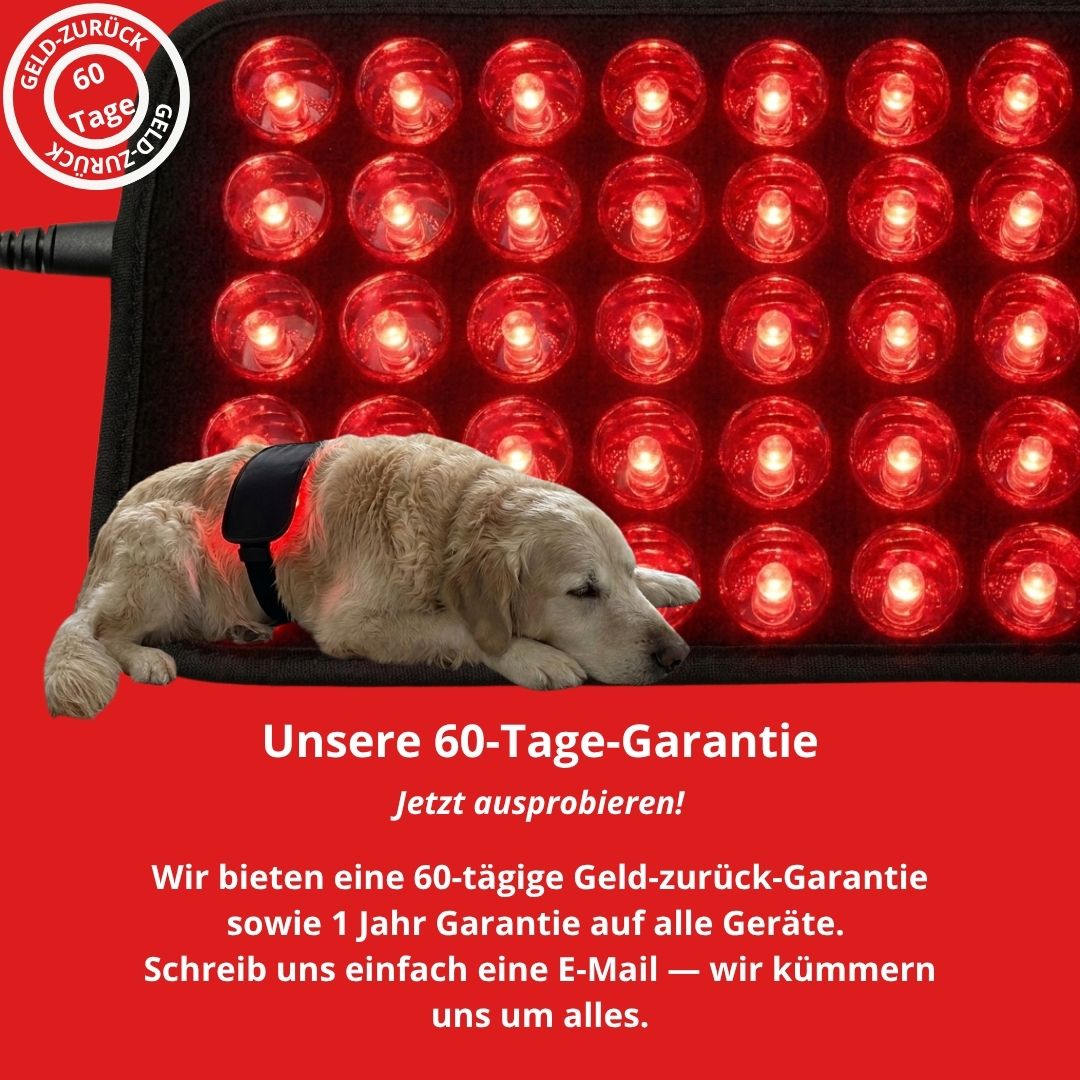 GlowPaws - Rotlichttherapie für Hunde