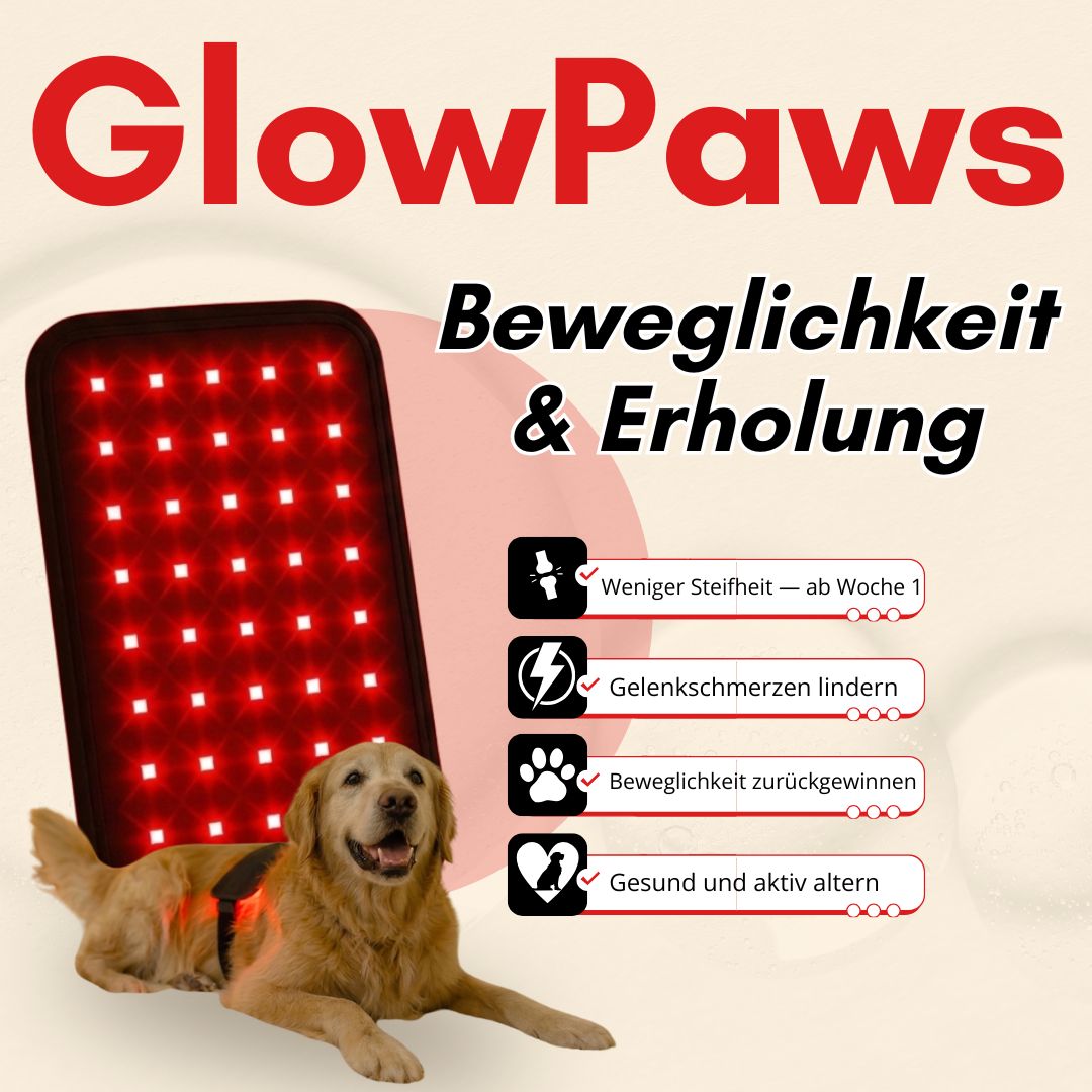 GlowPaws - Rotlichttherapie für Hunde