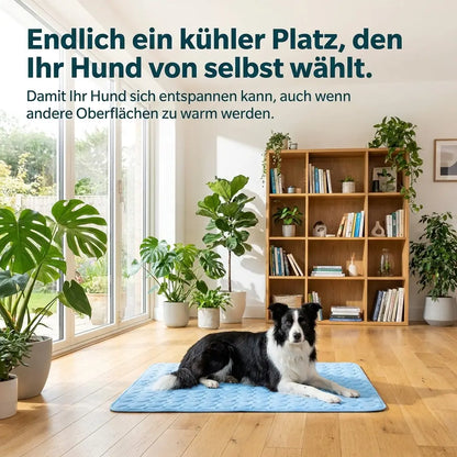 ChillPaws - Die Matte, die kühl bleibt — auch nach Stunden unter Ihrem Hund.